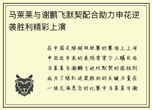 马莱莱与谢鹏飞默契配合助力申花逆袭胜利精彩上演