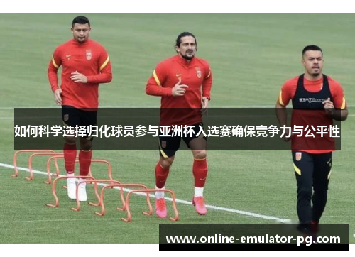 如何科学选择归化球员参与亚洲杯入选赛确保竞争力与公平性