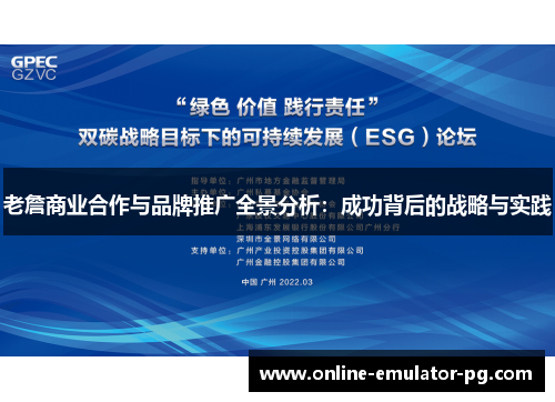 老詹商业合作与品牌推广全景分析：成功背后的战略与实践