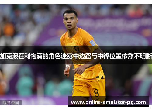 加克波在利物浦的角色迷雾中边路与中锋位置依然不明晰